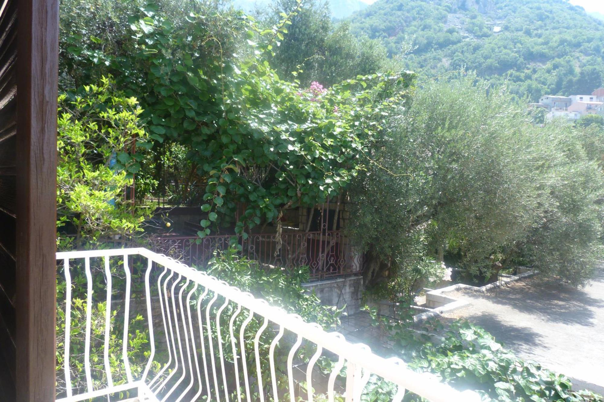 Zoro Daire