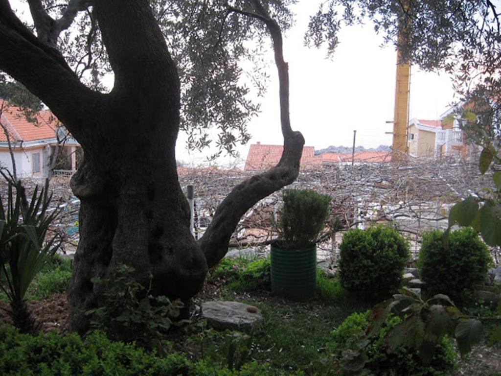 Daire Zoro Sveti Stefan